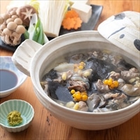 耶馬溪 すっぽん鍋セット 〔すっぽん切身300g、すっぽんスープ360g、つけだれ120g〕 鍋セット【北海道・沖縄県・離島 配送不可】