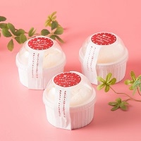 高知アイス 濃厚卵のひんやりふわっとチーズスフレ 雪どけフロマージュ〔10個入〕