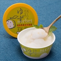 高知アイス おいしいんだもの高知アイスセット〔10個〕