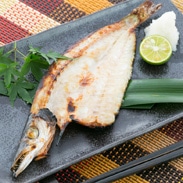 室戸岬の旬な大型カマスを厳選した珠玉の一品!極上カマス開き いずま海産・高知県