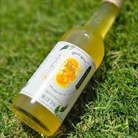 鹿児島県長島産 島みかんサイダー 〔245ml×6〕 炭酸飲料