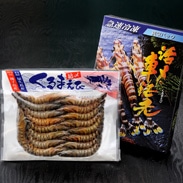 通常市場に流通していない、殻ごと食べられる大変希少な一品です!ソフトシェル車海老 車海老日本株式会社・鹿児島県