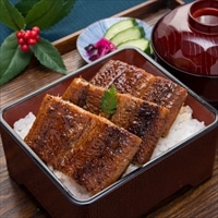 夏目商店 老舗の美味しさ 安心 新鮮 上質 国産 豊橋うなぎ長蒲焼 超特大 2尾 4人前 冷凍〔250~299g×2〕