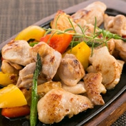 土佐はちきん地鶏鉄板焼きセット〔もも・むね切り身 各200g、骨抜き手羽元小肉200g×2、はちきんバーグ40g×4、室度海洋深層水塩30g〕四国・高知県 土佐あぐりーど