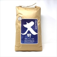 地球にやさしいお米 特別栽培米こしひかり 玄米 〔10kg〕 米 【北海道・沖縄・離島 配送不可】