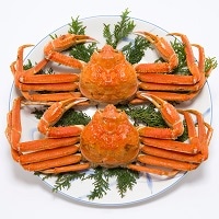 ずわいがに2尾セット〔ボイル冷凍ずわいがに姿2尾で1kg前後〕