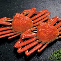 冷凍 ボイル ずわいがに 札幌蟹販〔800g〕蟹 ズワイガニ 姿