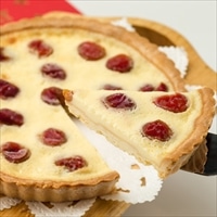 大橋さくらんぼ園 北海道の老舗さくらんぼ専門農園より直送 さくらんぼチーズタルト〔450g〕