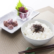 延年梅セット　株式会社プラムナチュール　岐阜県　有機肥料で育てた郡上産の梅を塩としそだけで漬けた昔ながらの梅干しセット。