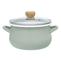 ストクック IH対応ホーロークッキングポット20cm グリーン RB-3248【沖縄県・離島 配送不可】