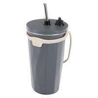 トート ストローボトル570ml チャコール RH-1761【沖縄県・離島 配送不可】