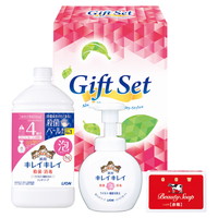 きちんとキレイセット  GKL-20【沖縄県・離島 配送不可】