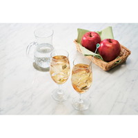 プレミアムフルーツビネガー信州りんごの酢　ふじ２本セット