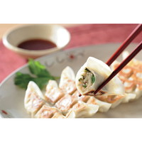 雄都の宇都宮餃子セット