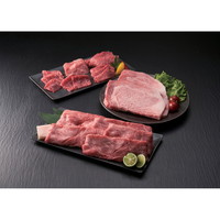 松阪牛特選5セット