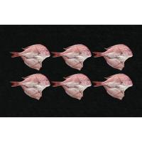 天草天然真鯛ささ塩干