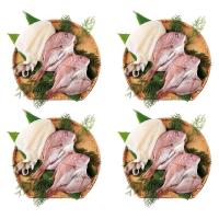 天草天然真鯛ささ塩干とアオリイカささ塩干