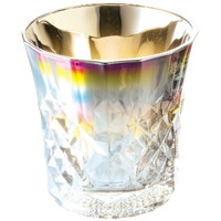 PROGRESS Rex チタングラス ［北海道・沖縄県・離島 配送不可］