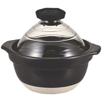 ハリオ フタがガラスのご飯釜(2～3合炊き)［北海道・沖縄県・離島 配送不可］