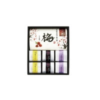 梅未来 紀州南高梅4種詰合せ  U-HAUS-302【北海道・沖縄県・離島 配送不可】