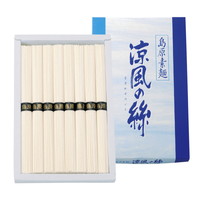 2セットでお届け　島原素麺 涼風の絲 C-10【北海道・沖縄県・離島 配送不可】