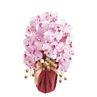 SC触媒加工 プラチナ胡蝶蘭（アーティフィシャルフラワー） ラベンダー HCA2-LV-23【北海道・沖縄県・離島 配送不可】