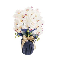 SC触媒加工 プラチナ胡蝶蘭（アーティフィシャルフラワー） ホワイトビューティー HCA2-WB-23【北海道・沖縄県・離島 配送不可】