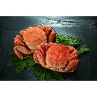 毛がに姿2尾(500g×2)【沖縄県・離島 配送不可】