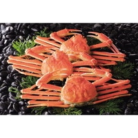 ずわいがに中3尾【沖縄県・離島 配送不可】