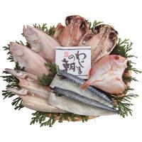 わじまの朝干物セット5種9枚