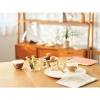 ネスカフェ ゴールドブレンド スティックコーヒーセット