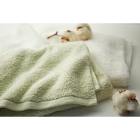 アンシャンテオーガニック フェイスタオル２枚セット アイスグリーン