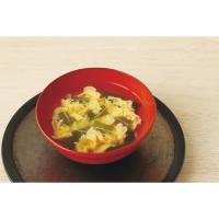 賛否両論　フリーズドライスープ ＮＳＦ－Ｃ