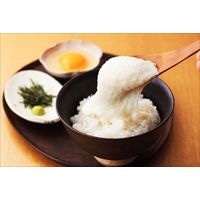 千葉県産 大和芋とろろ 40g 20袋〔40g×20袋 〕加工食品