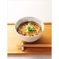 秋田 寛文五年堂 いなにわ手綯うどん 寛文つゆ付〔300g×5袋、寛文のつゆ120ml×3箱 〕米・穀類・麺類