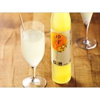 栃木 山星島崎 ゆず果汁濃縮ドリンク〔300ml×6本〕加工食品
