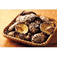 大分産 香こ椎茸〔230g〕野菜・果物