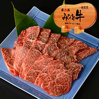 丸福商店　みなと牛 プロが選ぶ黒毛和牛 BBQ・焼肉用 3～5人前〔牛赤身ロース500g×2〕岐阜県