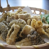 鮭皮チップ 4袋セット 〔28g×4〕 北海道 珍味