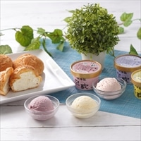 乳蔵アイス ミルクシュー 詰め合わせ 〔アイス(バニラ・ハスカップ・ストロベリー)×2、北海道シュー×3〕 アイスクリーム シュークリーム