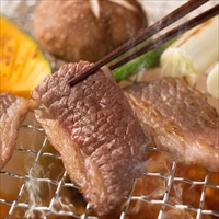 知多牛お試し焼肉セット 2~3人前〔カルビ、肩ロース 各200g〕愛知県 タケシタミート