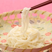 食塩無添加のおいしい〈うどん〉220g×6セット | 株式会社叶屋食品・群馬県
