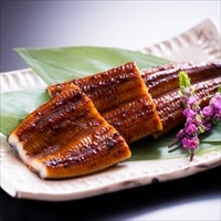 辛子明太子・うなぎ切身詰合せ 〔無着色辛子明太子200g、九州産うなぎ蒲焼(切身)150g(3枚)、添付たれ×3、添付さんしょう×3〕 魚介