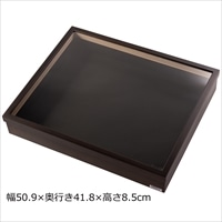 ドイツ箱 美咲箱タイプ小 〔幅50.9×奥行き41.8×高さ8.5cm〕 標本箱 コレクションボックス