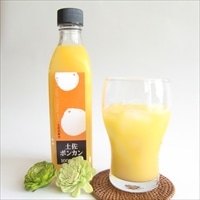 土佐名産会 土佐の果実100% ポンカン果汁 〔300ml×3〕 無添加 果汁