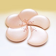 梅花びら（赤）銘々皿（5枚セット）