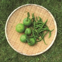 ゆずこしょう作り体験キット 2個セット 〔(青ゆず・青唐辛子・保存用瓶など 説明書付)×2〕 手づくりキット 調味料 九州 高橋商店