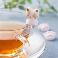 ねこシュガークラフトセット 〔固型砂糖26個〕 福島県 砂糖 お菓子のアトリエ