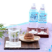 由布院ガーデン 大分県 湯布院の自然が生んだ美味しい温泉水 ゆふいん福万水〔500ml×24本〕