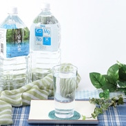 藤里開発公社 秋田県 口当たりも爽やかな超軟水 白神山水〔2L×12本〕